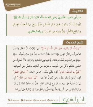 يفر بدينه من الفتن